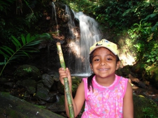 Senderismo por la selvas tropical